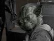 Yoda